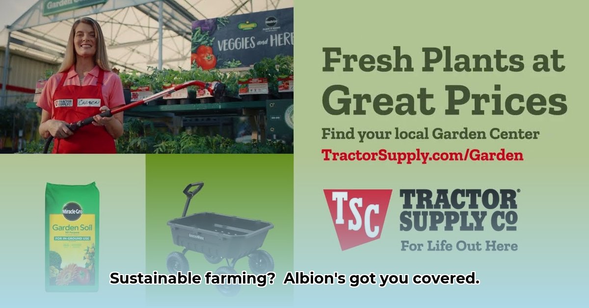 tractor-supply-albion